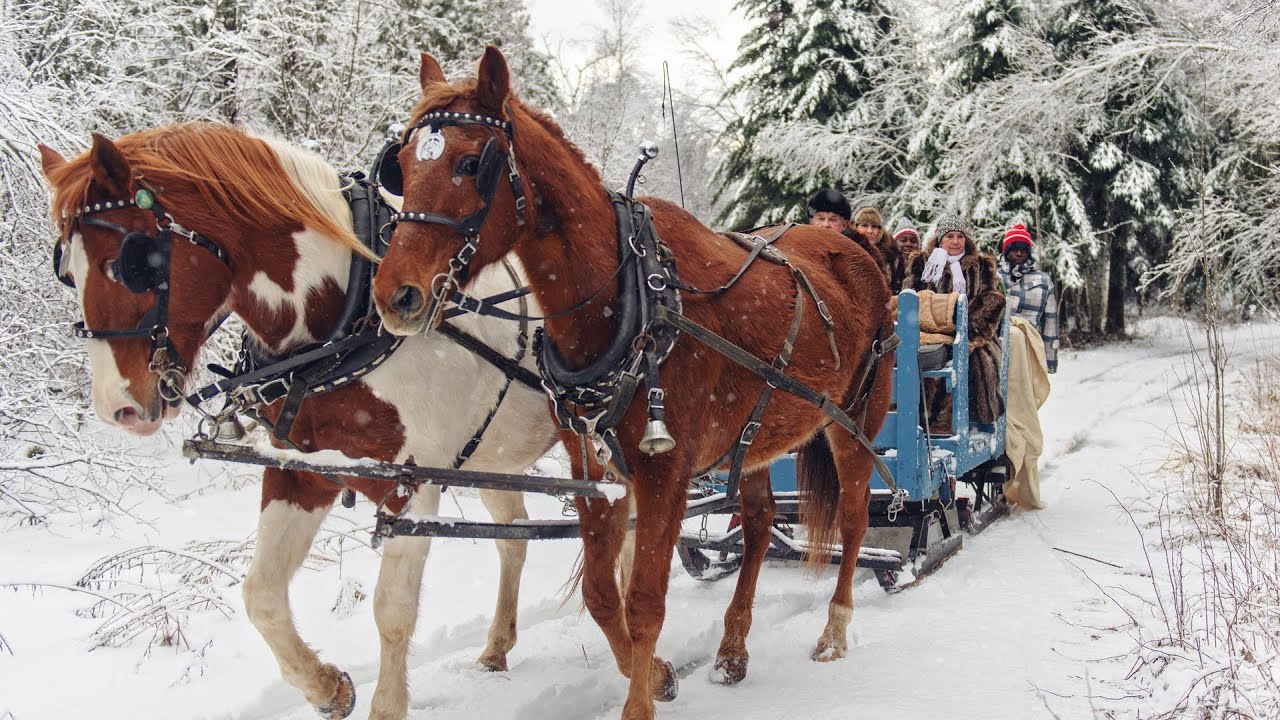 Celtic Christmas Carols, Soft Holiday Christmas Music "Snowy Winter Sleigh Ride" by Tim Janis