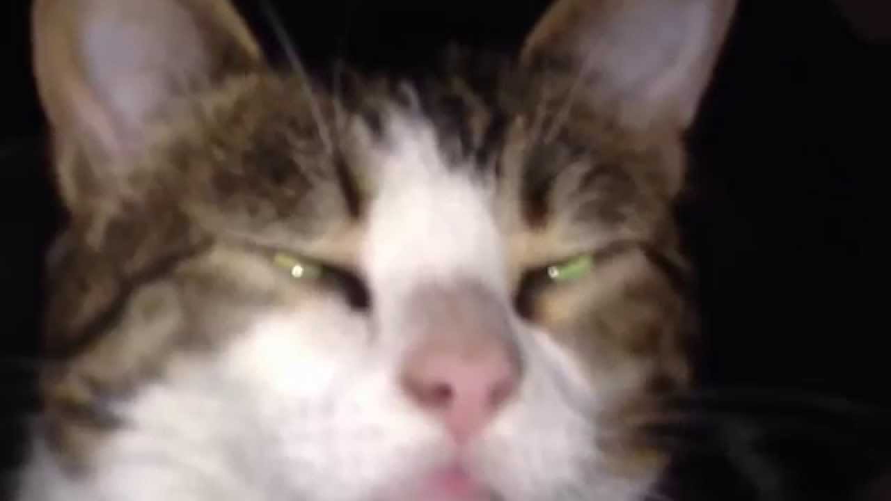 420glass The Channel