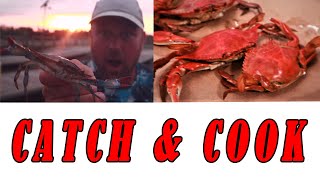 How to Catch Crab From Shore and Cook