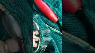 Review ‼️ Fish trawl net, shrimp trawl net, 1 cm mesh, stamped net, no knots. Seine fishing net