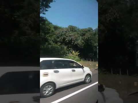 undip dari tol