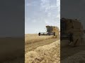 حصاد سوريا