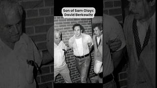 David Berkowitz Kan Donduran Son Of Sam Olayı