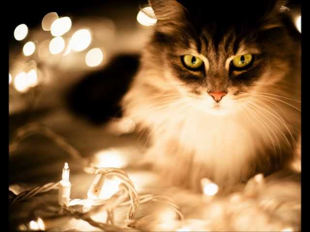 Jordin Sparks - Do You Hear What I Hear (12)