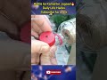 daily life heck subscribe mor