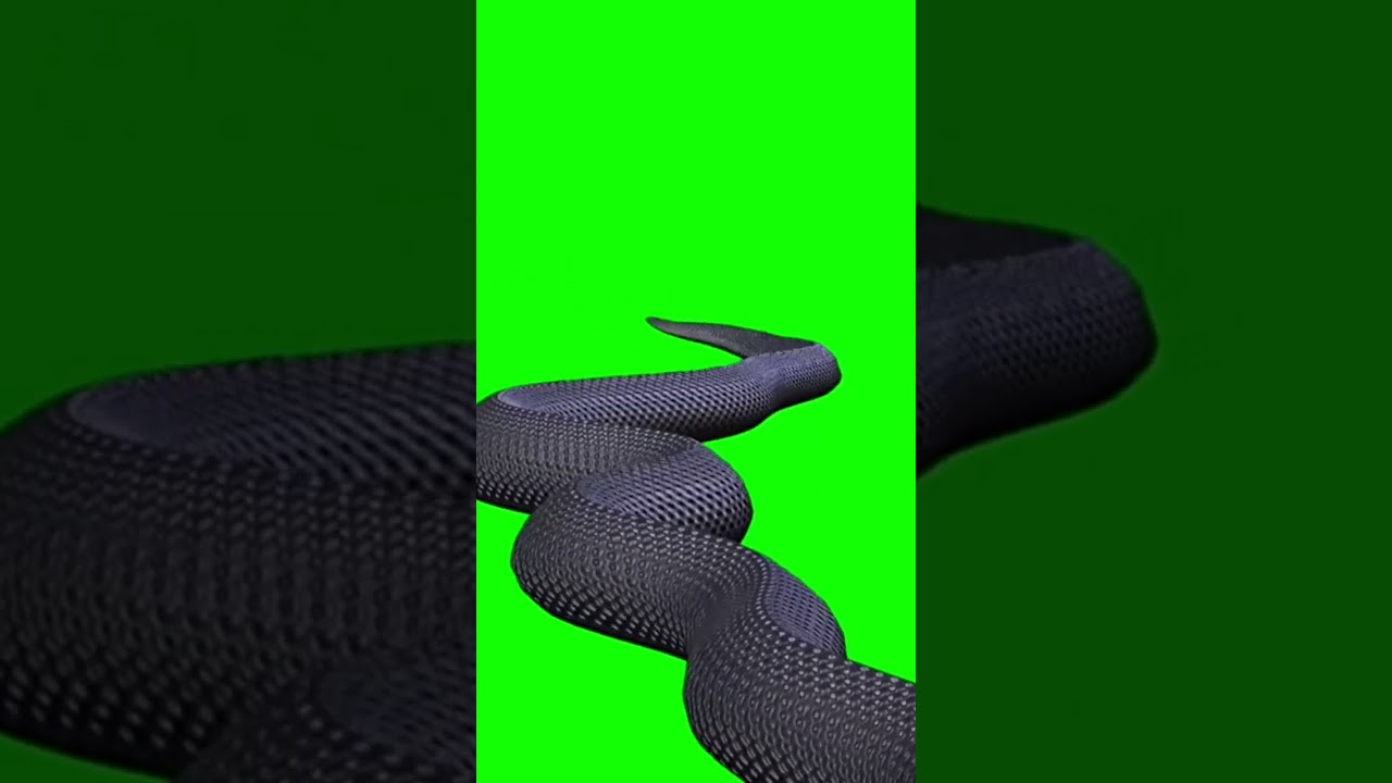 Green screen snake nt 2024