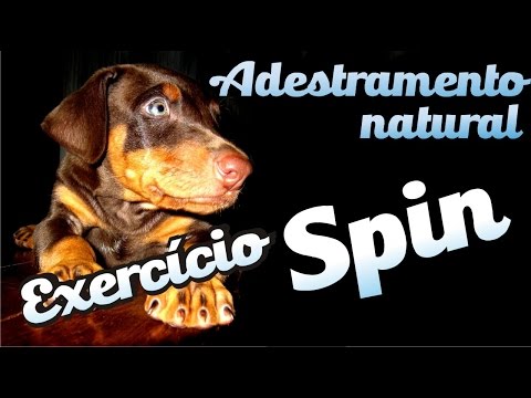 Curso Adestramento natural - 40 - "SPIN"