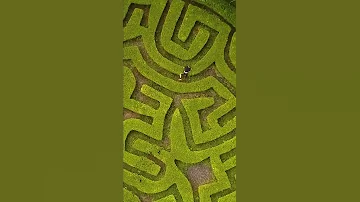 They Said I Was Too Dumb To Solve This Maze 