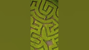 They said I was too dumb to solve this maze 🤡