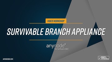 anynode 35 - Survivable Branch Appliance (engl.)