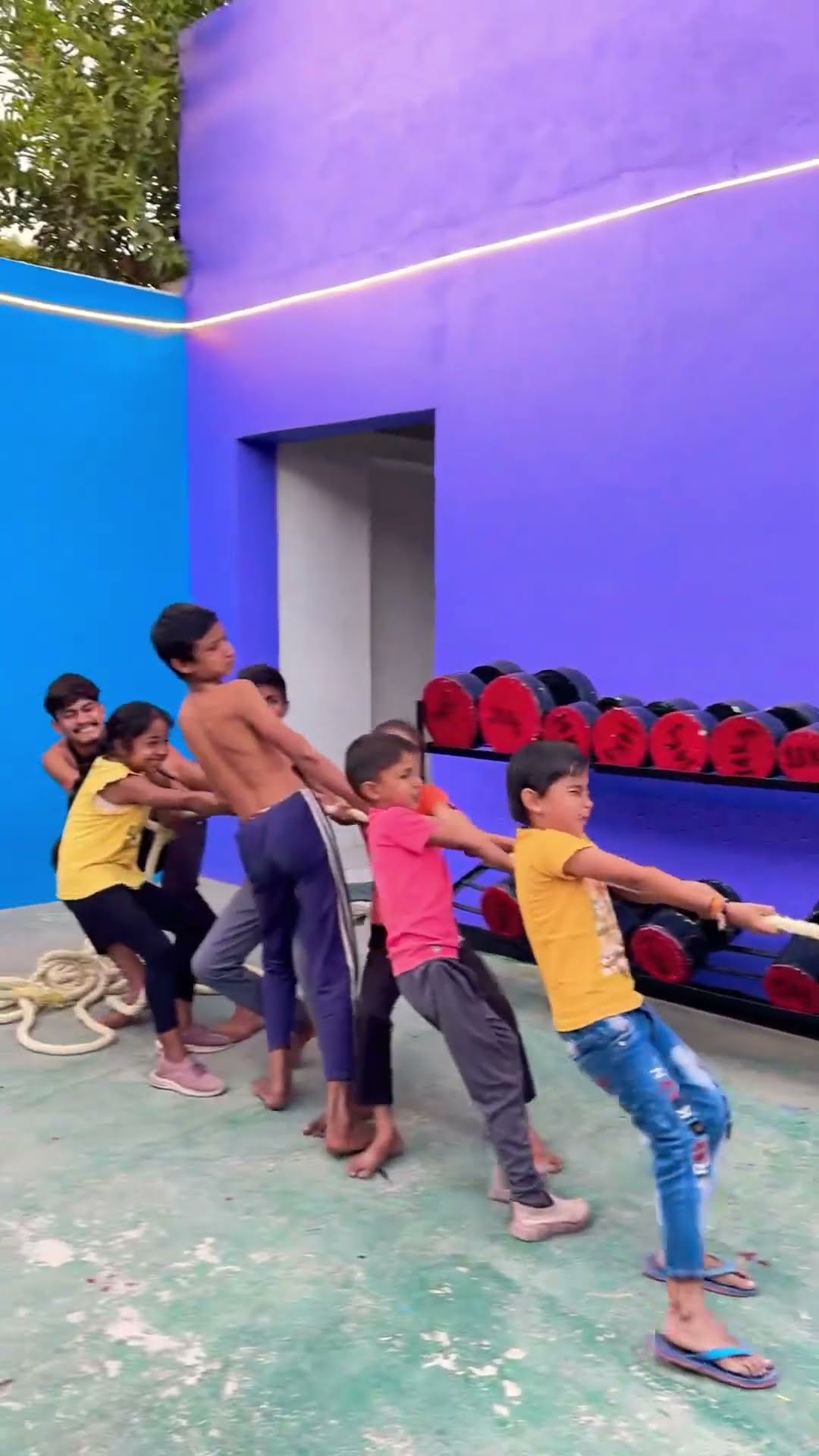 made me crazy made me crazy ??? #shortvideo #funnyvideo #funny