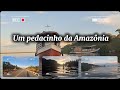Paraíso na floresta