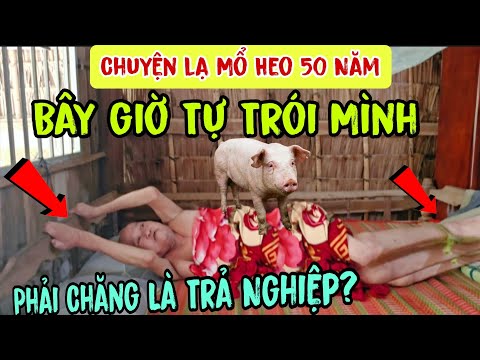 Chuyện lạ - Mổ Heo 50 Năm 👉 tự trói mình - Phải Chăng Là Trả Nghiệp ? Châu Phú Area 51 Thiên Cấm Sơn