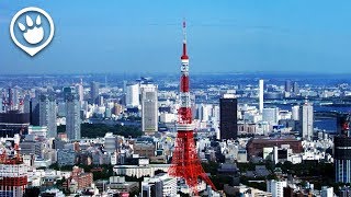9 Easy Day Trips to Take from Tokyo
