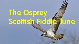 Osprey - Scottish Fiddle Violin Tune chords