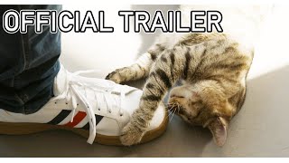 The Cat Town Story | Official Documentary Trailer 4k