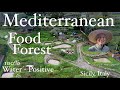 Mediterranean Permaculture Food Forest - John Kaisner The Natural Farmer