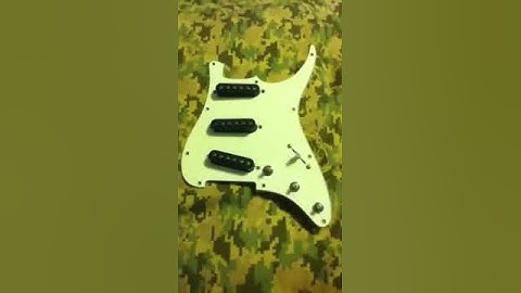 Custom stratocaster build part 1