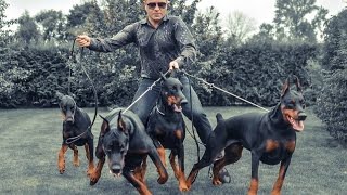 КРИМИНАЛ-ИНФОРМ 20.05.2016 Парикмахер Сергей Алешин незаконно осужден в Париже(, 2016-05-22T23:04:37.000Z)