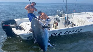 Watch Fishermen Skillfully Fishing Tuna At Sea  Famous Chef's Expert Tuna Cutting Skills