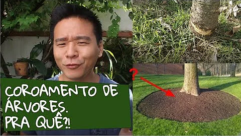 O que é coroamento de plantas?