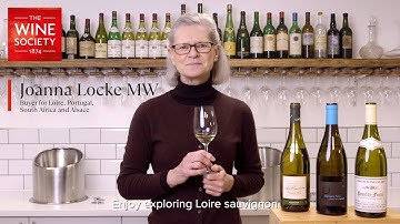 A summary of sauvignon blanc across the Loire Valley