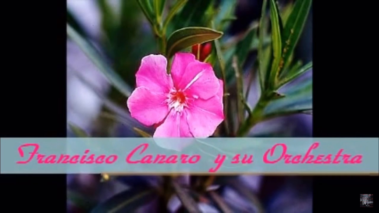 CUARTITO AZUL - FRANCISCO CANARO (TANGO 1939) LETRA