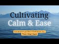 Immersive guided meditation calm  ease  thich nhat hanh