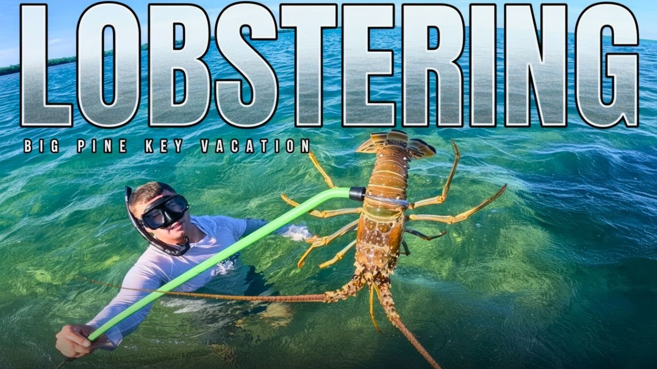 Florida Keys Spiny Lobstering | Big Pine Key Adventure, Resort Tour & No Name Key Drone Views
