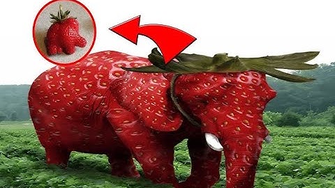 VALORANT, Kordhell - VYSE (iskai remake)