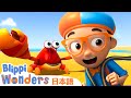 ブリッピと砂のおしろ🏖️🏰 | ブリッピ 日本語 - 幼児向け教育動画 Blippi