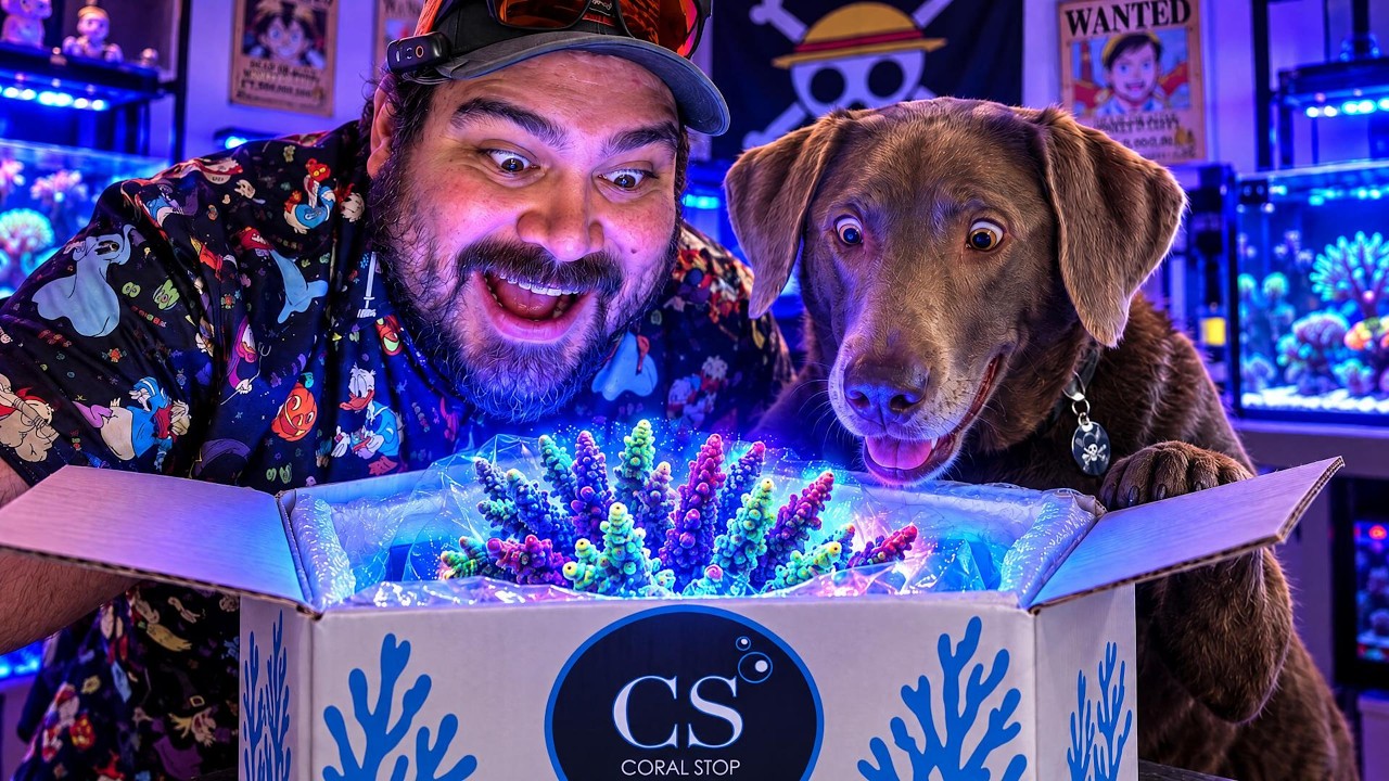 Coral Stop Buying POV and Unboxing New Coral
