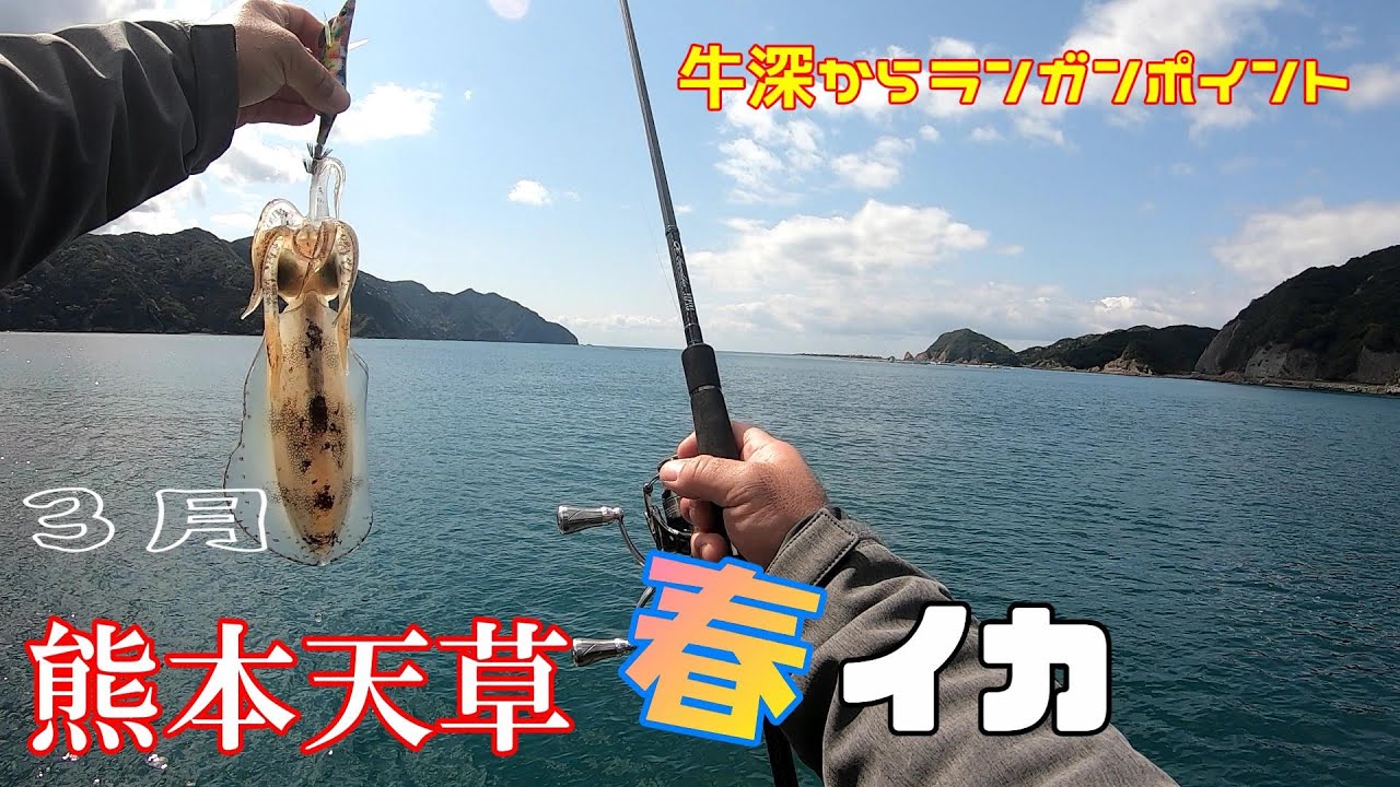 熊本天草エギング 春イカを狙い牛深からランガン 天草のイカはこうやって釣るといい シャクリ教えます Youtube 熊本天草エギング 春イカを狙い牛深からランガン 天草のイカはこうやって釣るといい シャクリ教えます Youtube