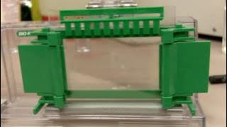 How to Make an SDS-PAGE gel