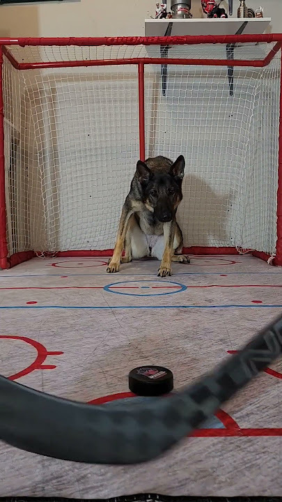 EASILY DISTRACTED by ICE HOCKEY & DOG Graphic by skdesignhub