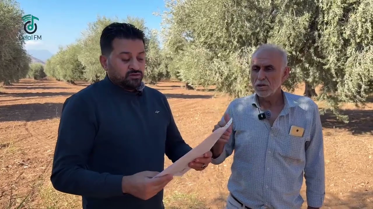 تسليم اكثر من 10 الف شجرة بناحية شيخ حديد ل اصحابها تحت اشراف ادارة منطقة عفرين