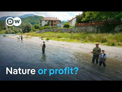 The Neretva in Bosnia - A wild river on the brink of collapse | DW Documentary