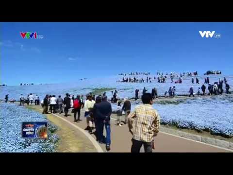 Video Lạc vào 