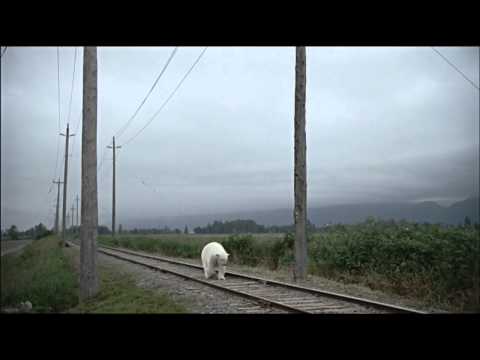 Nissan leaf polar bear behind the scenes