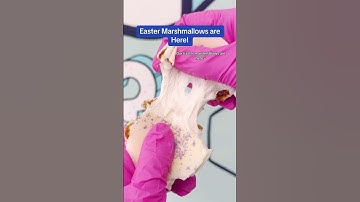 www.xomarshmallow.com #xomarshmallow #marshmallows #easter #oddlysatisfying #SmallBusiness #shorts