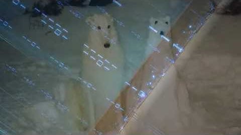 Binary Option Robot Can you please tell me if this autobinarysignals software really works