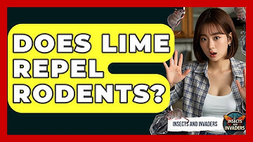 Does Lime Repel Rodents? - Insects and Invaders