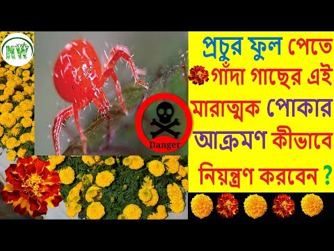 ভিডিও: গ্রীষ্মে কীভাবে শিথিল করবেন