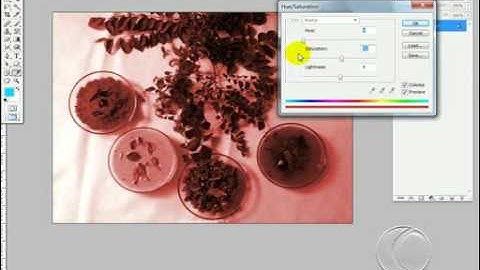 Photoshop CS 6 Tutorial Bangla (Image Manu NEW )- Part22 - ROBIN HUDA