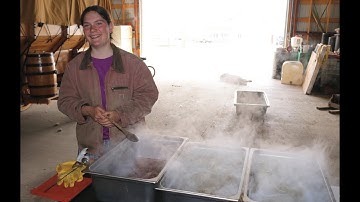 How to Make Birch Syrup - 2018
