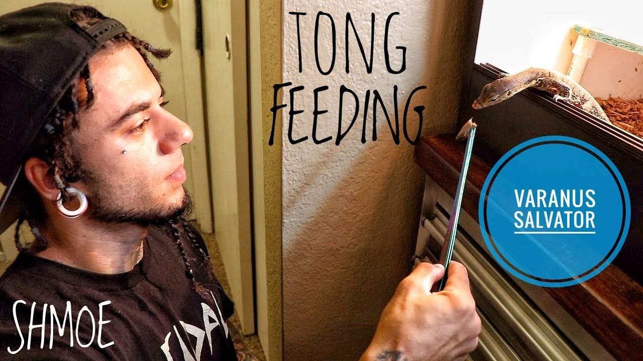 video phone beyonce mp3 FEEDING MY DRAGON