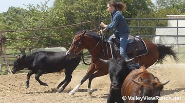 Smart Lectric Style***For info, price, etc., go to our website: ValleyViewRanch.net***