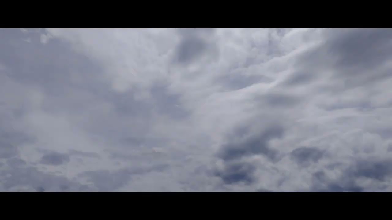 Hodeien mugimendua gertutik.