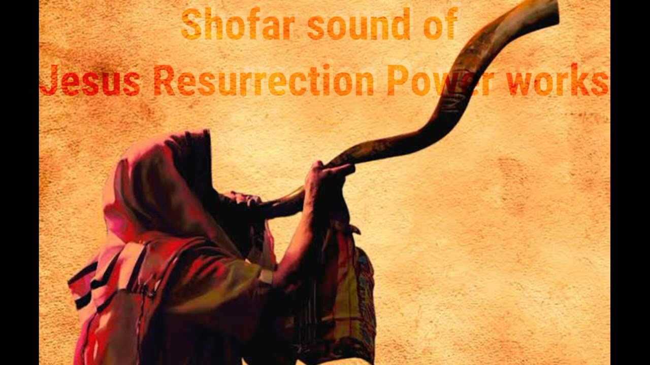 Lion Of Judah Warfare Shofar Sound Free Download