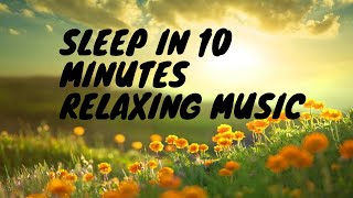 Relaxing piano music for sleep + flower , Meditation , Stress Relief screenshot 1